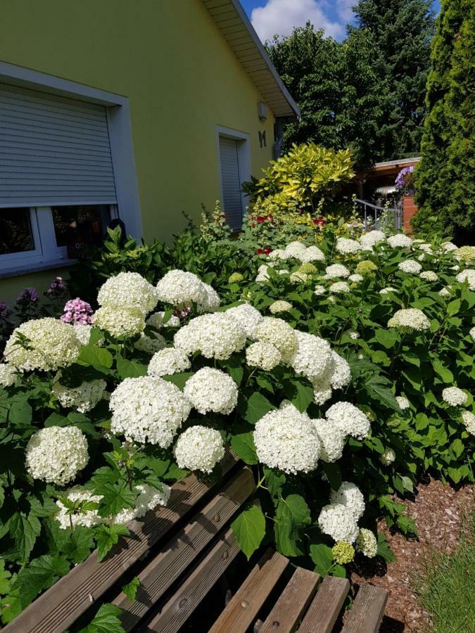 Ferienwohnung Lotte Nuthe-Urstromtal Exteriör bild